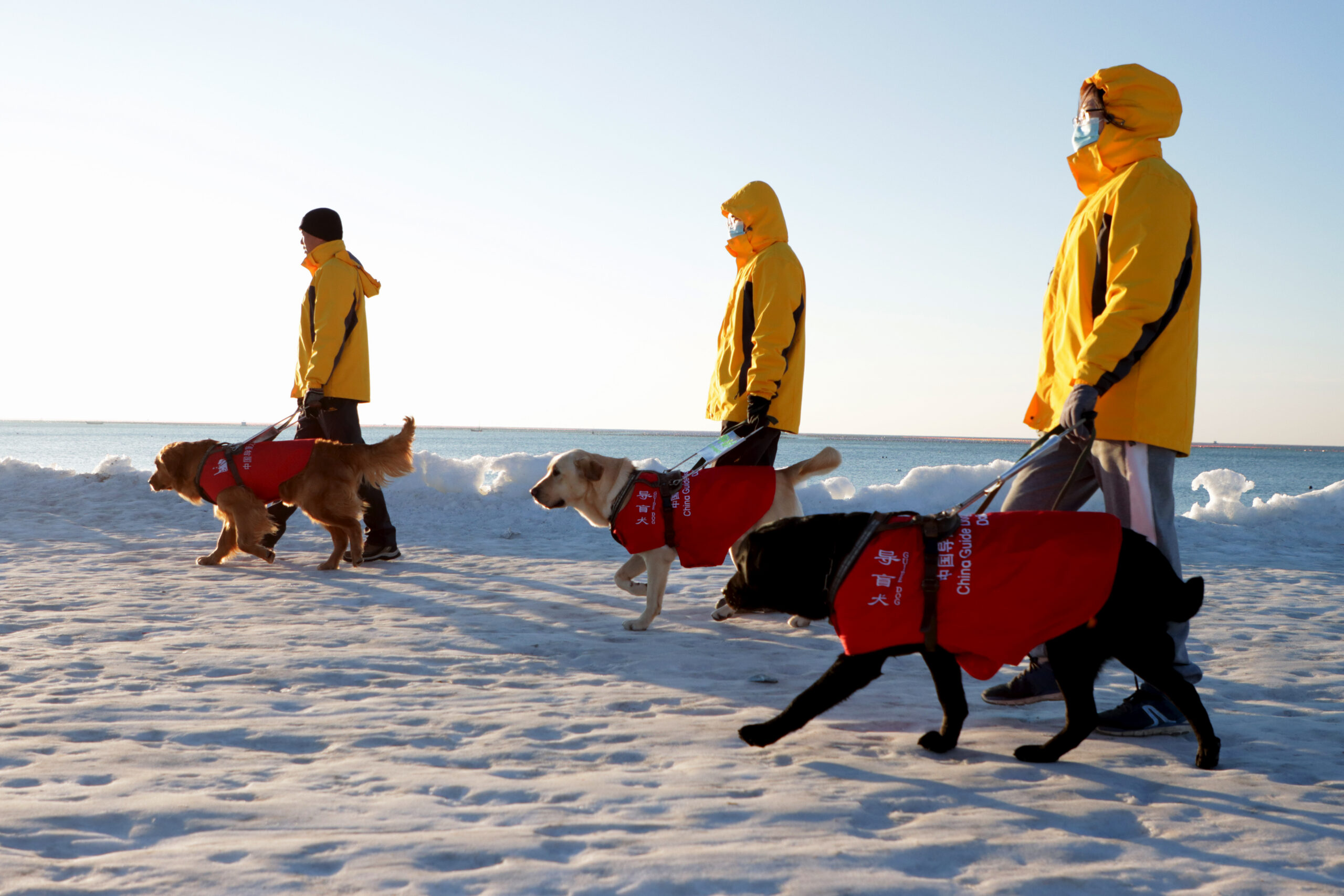 Volunteers cleaning beach